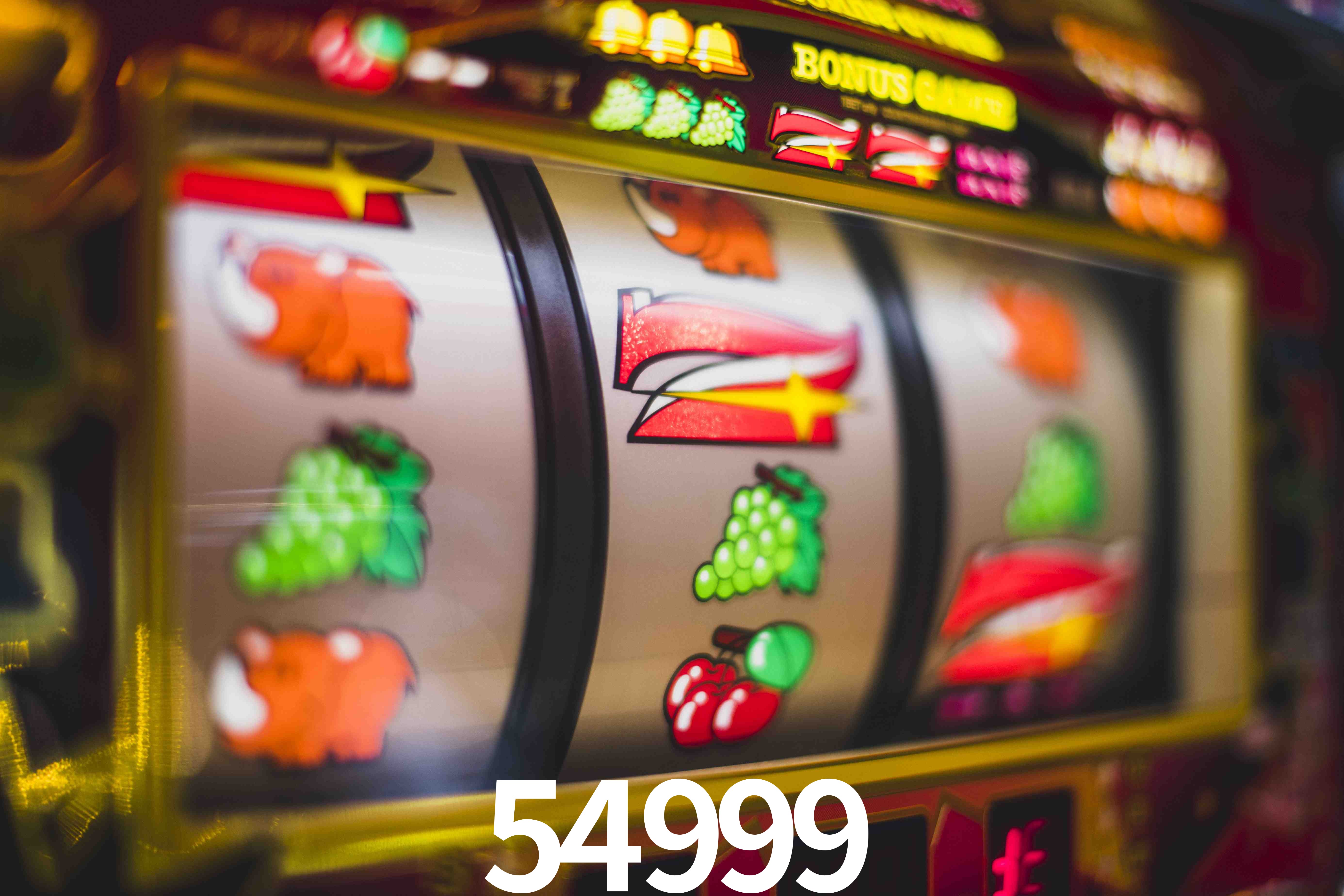 Basketball Betting 54999